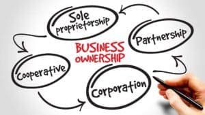 Business Structure