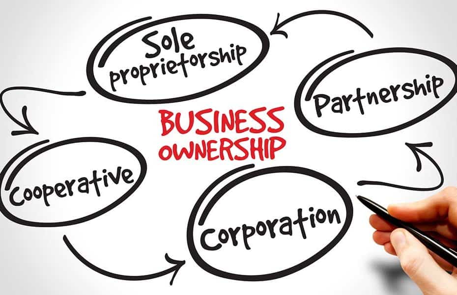 Business Structure